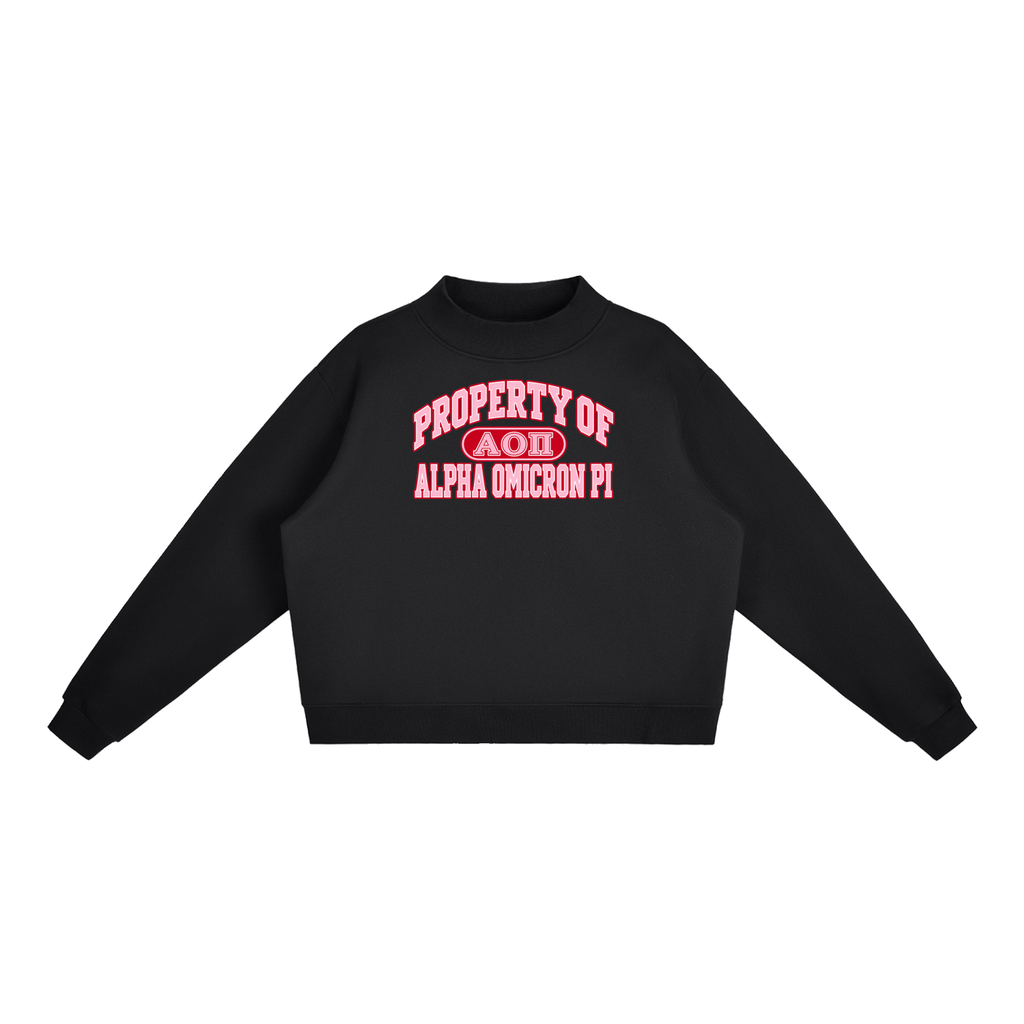 AOPI Essential Fleece Mock-Neck Crew Sweatshirt